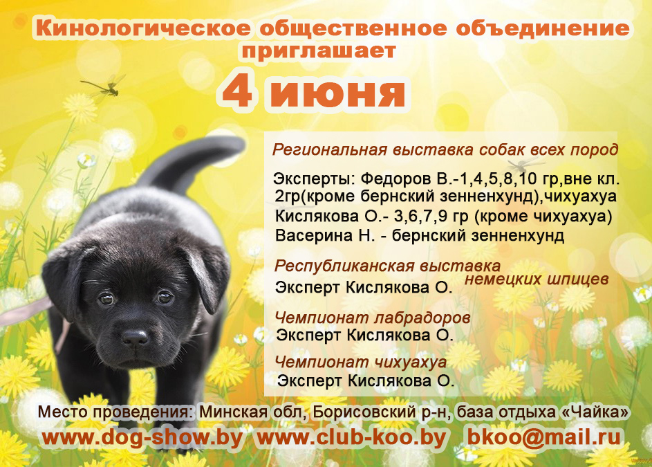 dogshow 04.06.2023 dogshow 04.06.2023