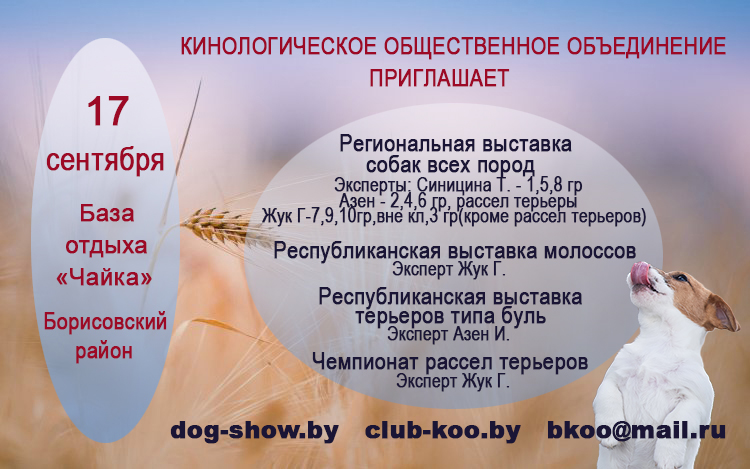dogshow 17.09.2023 dogshow 17.09.2023