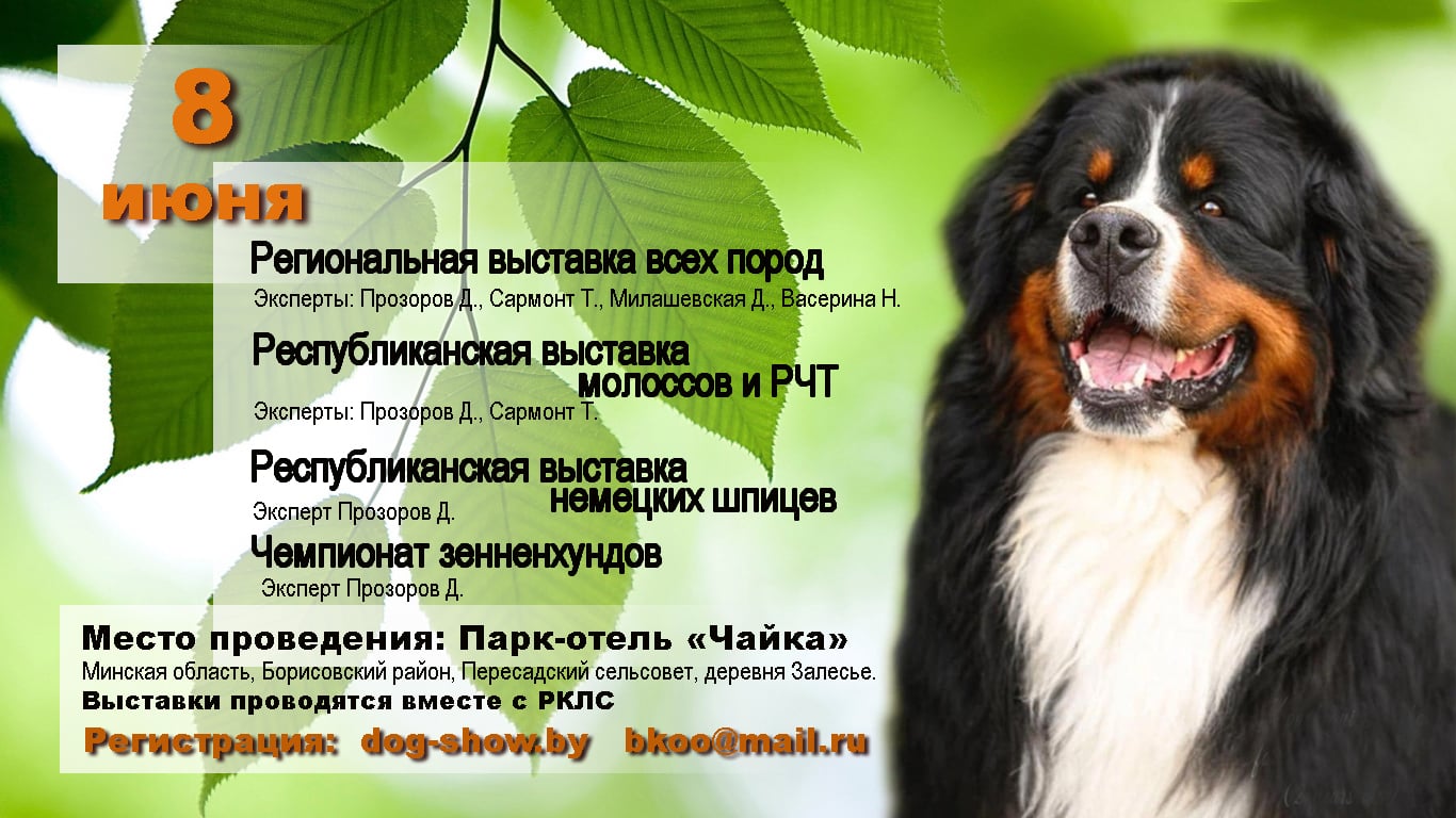 nds_08.06.2025 nds_08.06.2025