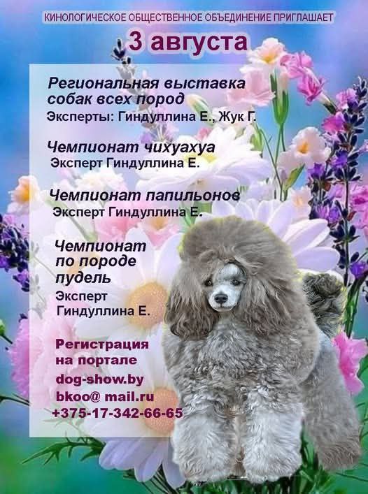 nds_03.08.2025 nds_03.08.2025