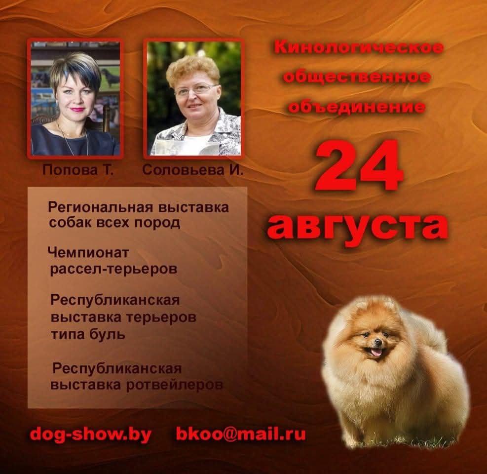 nds_24.08.2025 nds_24.08.2025