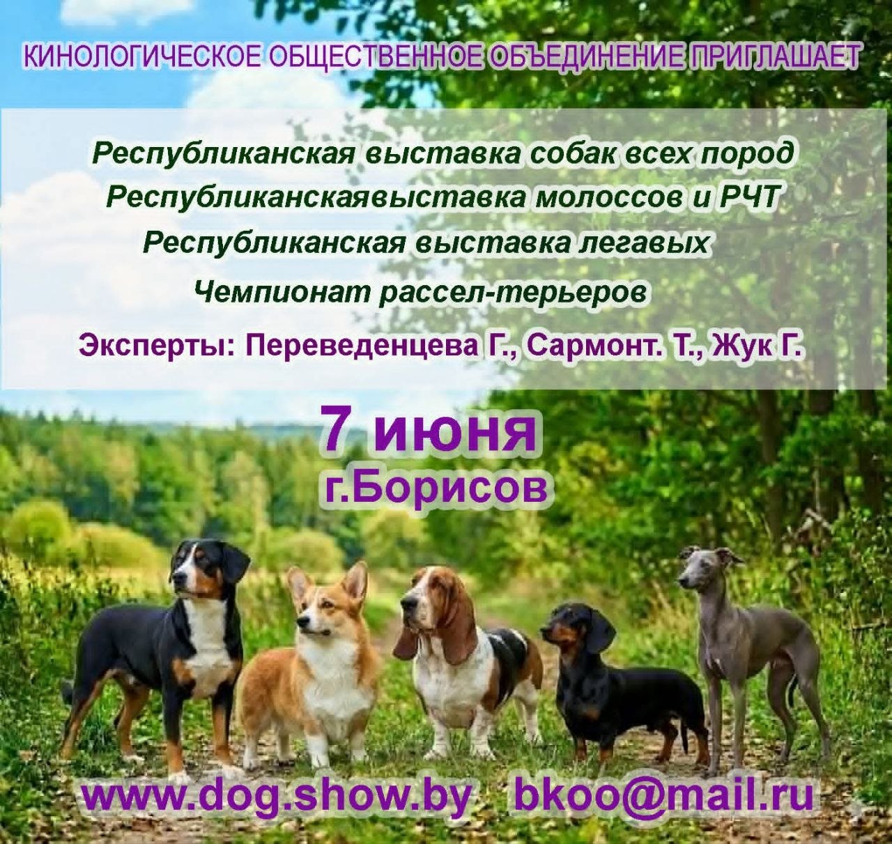 nds_07.06.2026